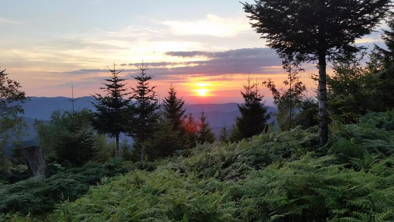 Appartamento Am Doettelbach Bad Peterstal-Griesbach Esterno foto