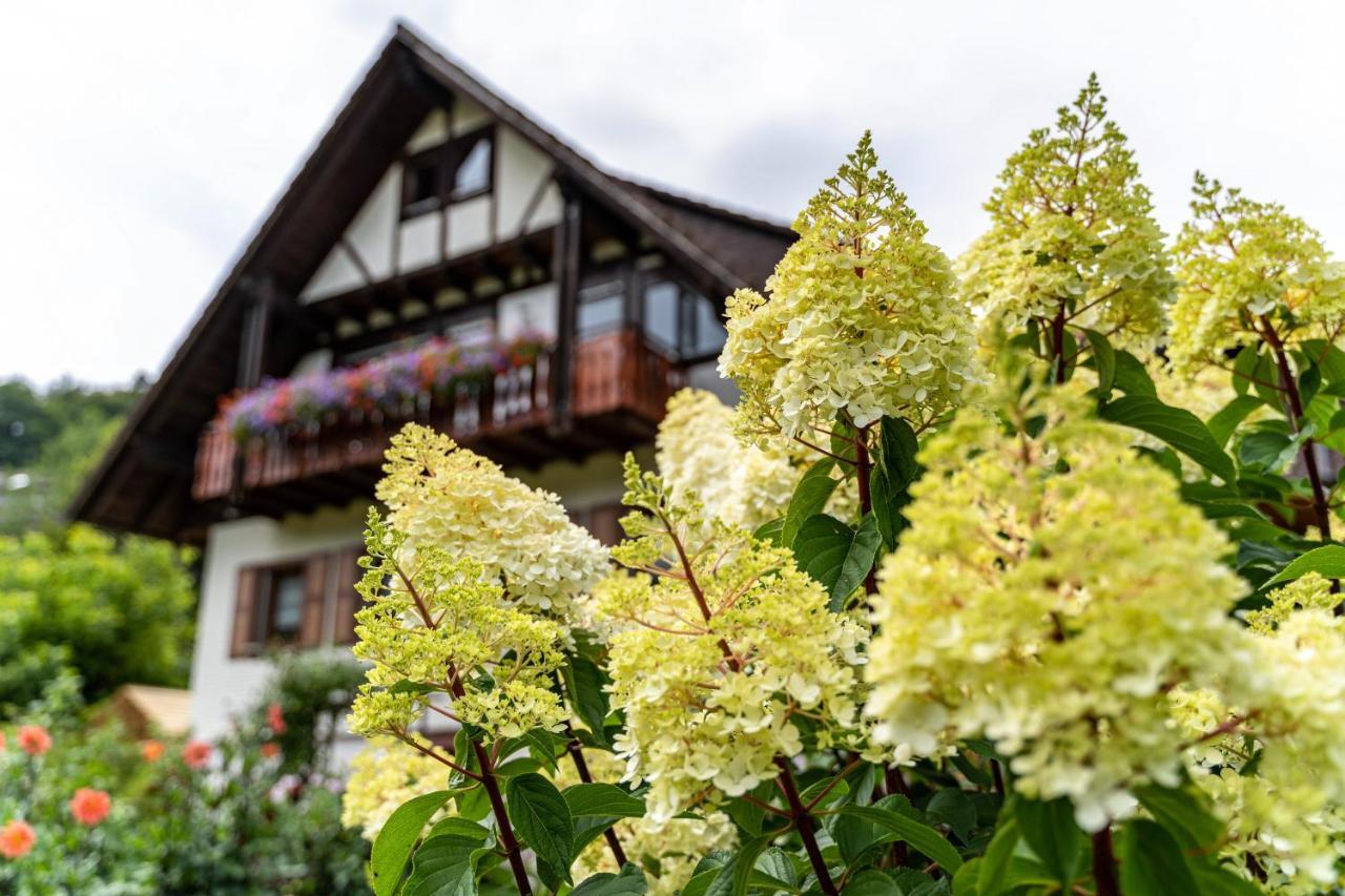 Appartamento Am Doettelbach Bad Peterstal-Griesbach Esterno foto