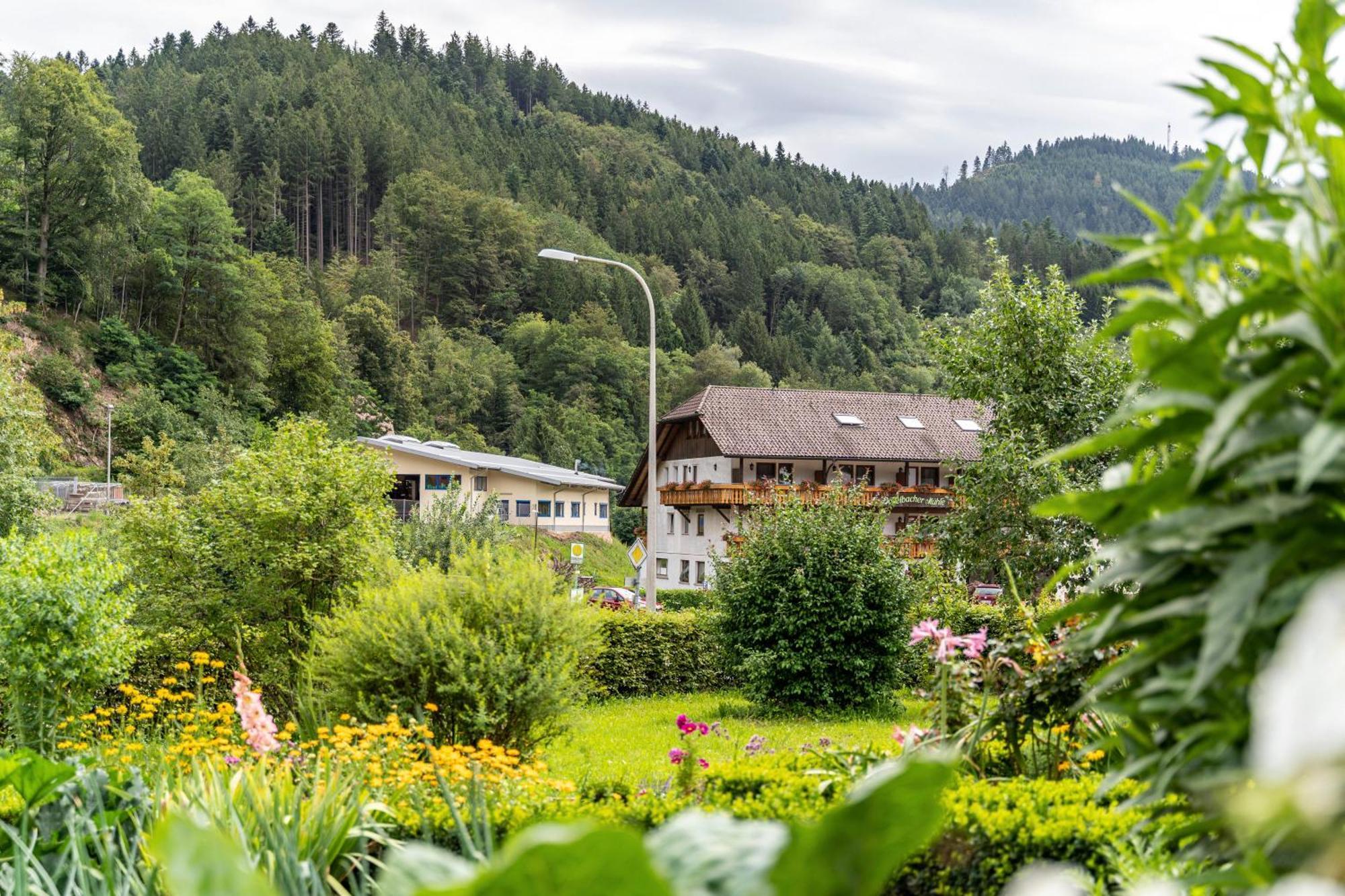 Appartamento Am Doettelbach Bad Peterstal-Griesbach Esterno foto